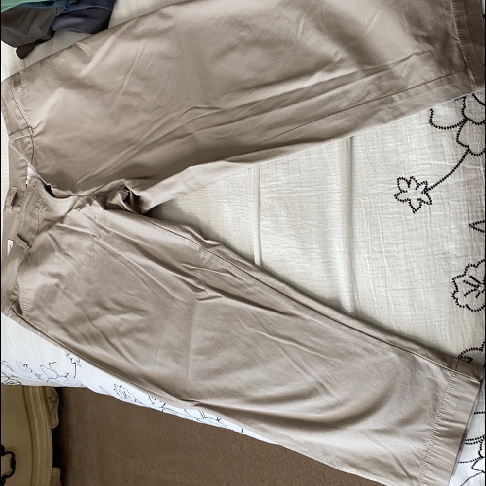 Loft Capri pant